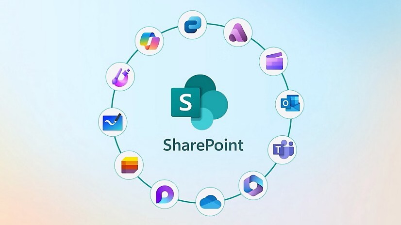 Sharepoint 3
